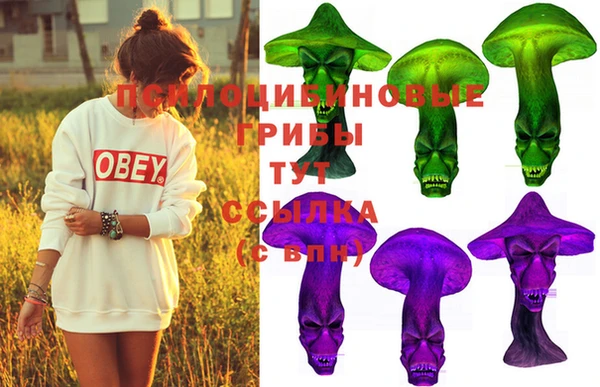 шишки Верхний Тагил