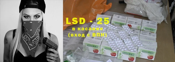 шишки Верхний Тагил