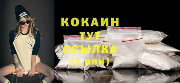 шишки Верхний Тагил