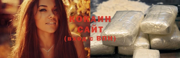шишки Верхний Тагил