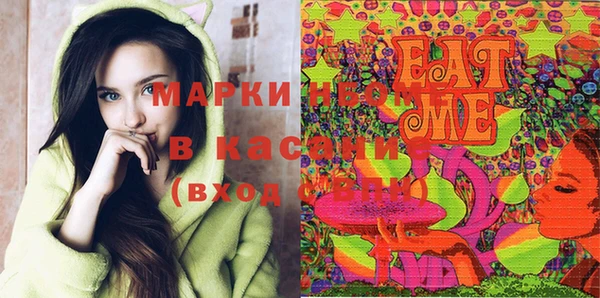 шишки Верхний Тагил